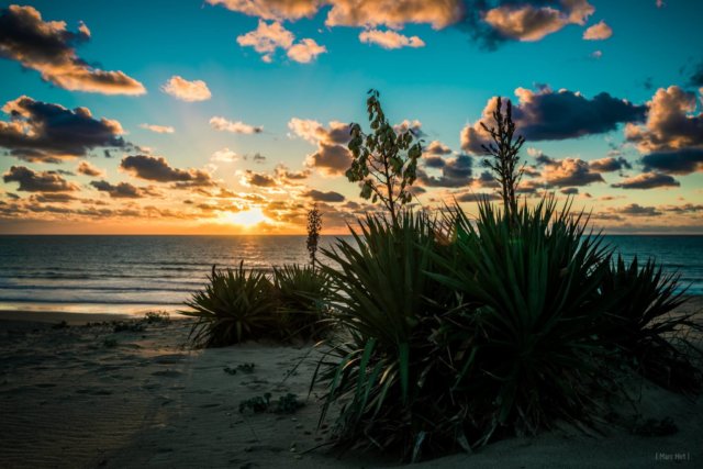 montalivet chm plage océan atlantique