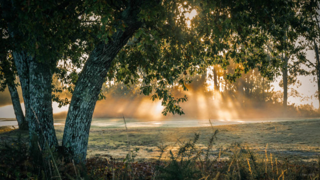 gujan mestras, golf de gujan, soleil levant le matin en automne