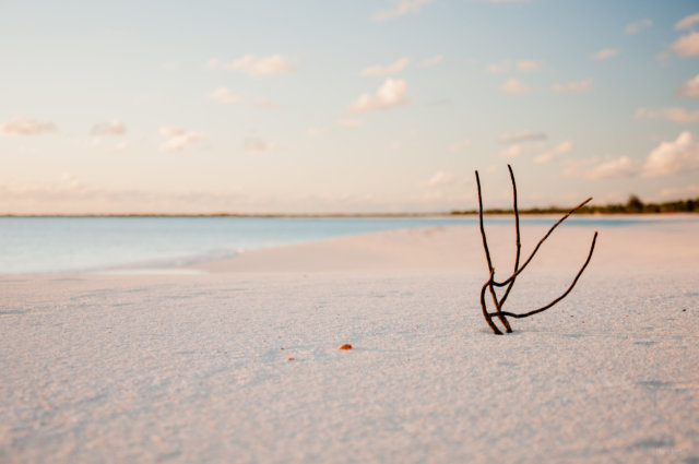 plage de sable fin, barbuda